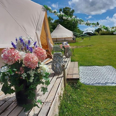 Hopgarden Glamping - Luxury 6M Bell Tent Wadhurst المظهر الخارجي الصورة