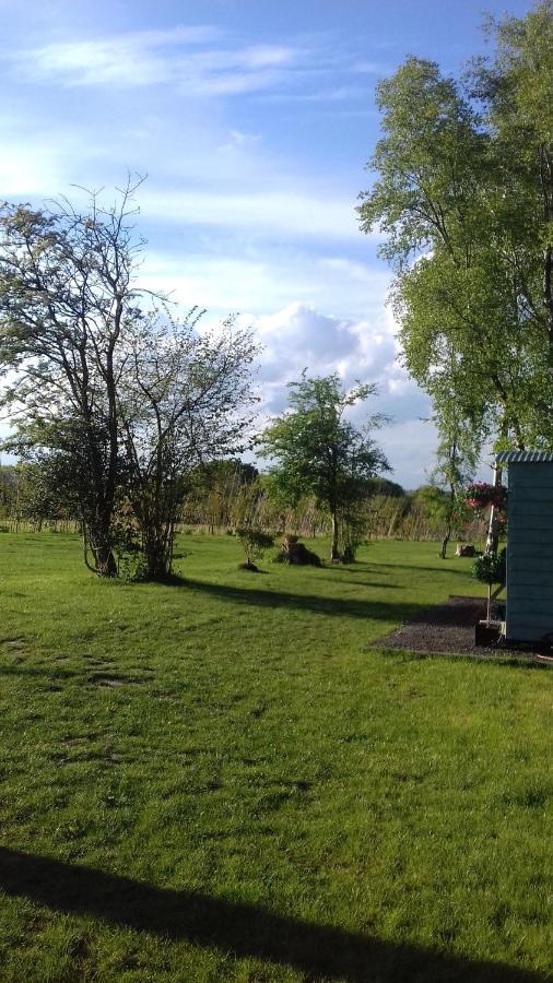 Hopgarden Glamping - Luxury 6M Bell Tent Wadhurst المظهر الخارجي الصورة