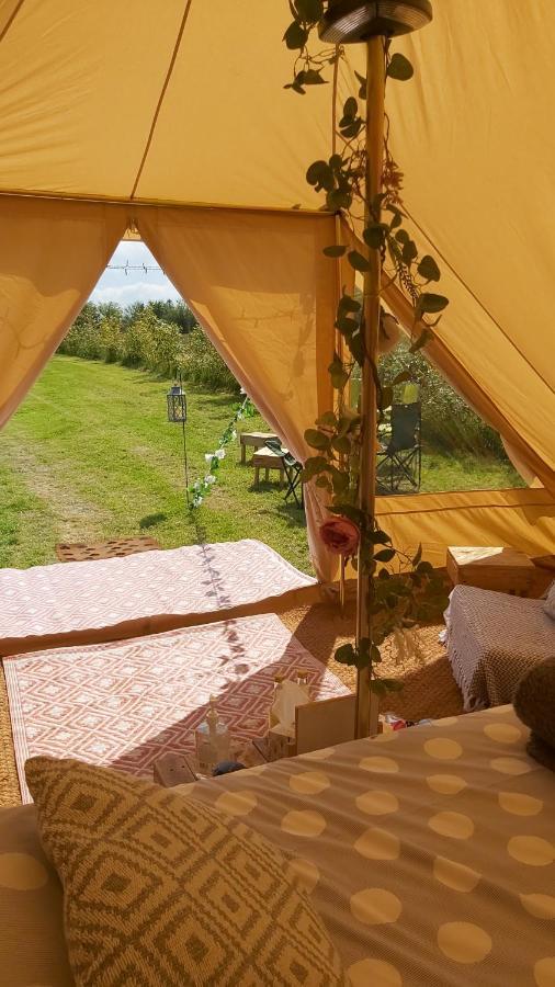 Hopgarden Glamping - Luxury 6M Bell Tent Wadhurst المظهر الخارجي الصورة