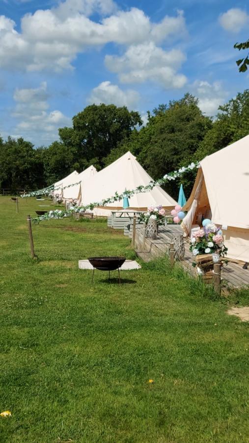 Hopgarden Glamping - Luxury 6M Bell Tent Wadhurst المظهر الخارجي الصورة