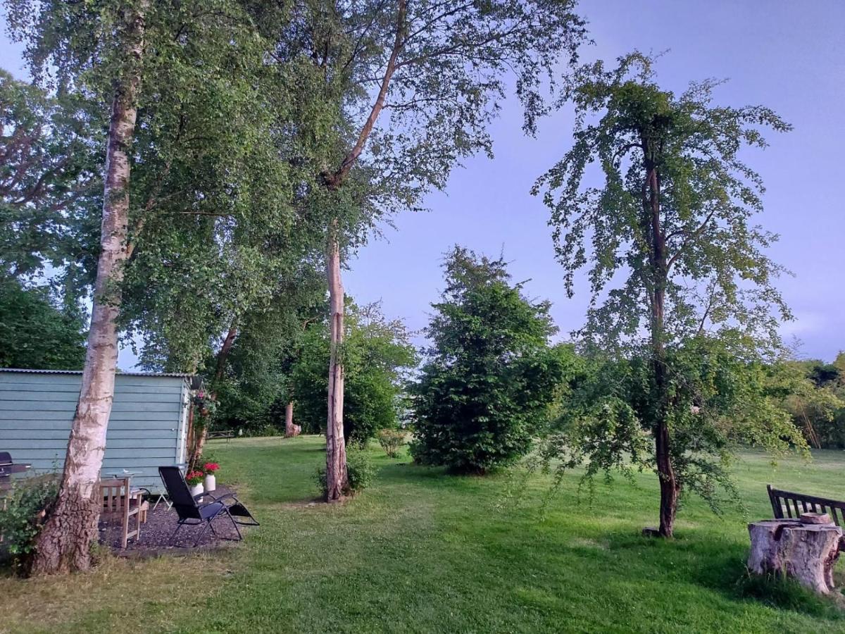 Hopgarden Glamping - Luxury 6M Bell Tent Wadhurst المظهر الخارجي الصورة