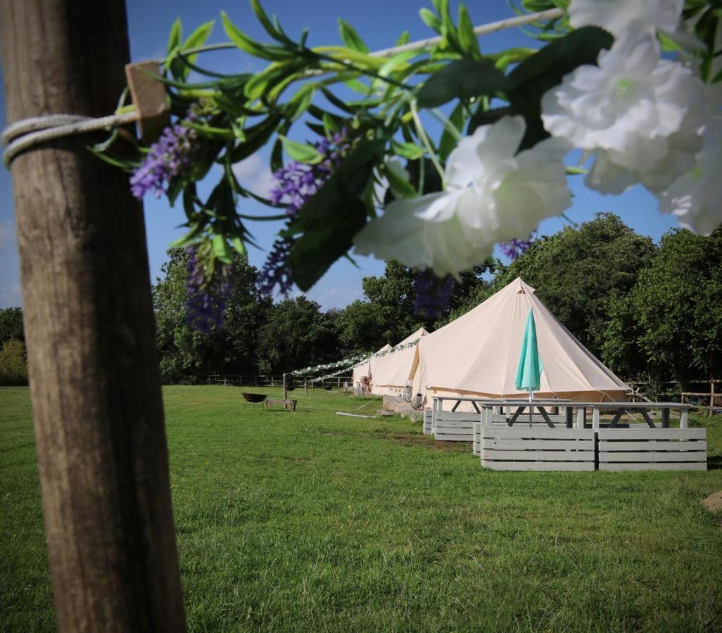 Hopgarden Glamping - Luxury 6M Bell Tent Wadhurst المظهر الخارجي الصورة
